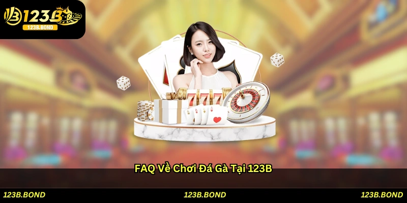 FAQ về chơi Đá gà tại 123B