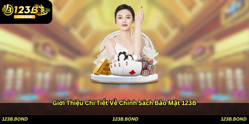 Giới thiệu chi tiết về chính sách bảo mật 123B
