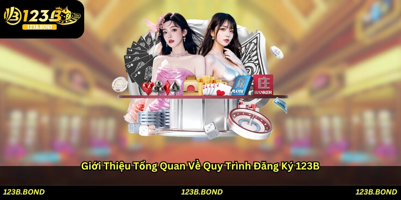Giới thiệu tổng quan về quy trình đăng ký 123B