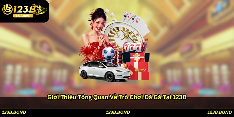 Giới thiệu tổng quan về trò chơi Đá gà tại 123B