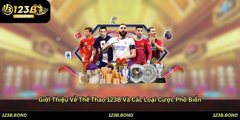 Giới thiệu về Thể thao 123B và các loại cược phổ biến
